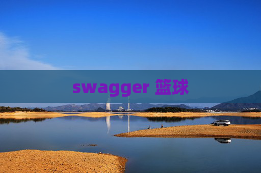 swagger 篮球